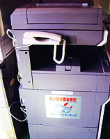 二戸たんぽぽ